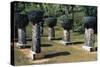 Coral Columns, Guam, Micronesia-null-Stretched Canvas