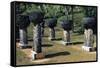 Coral Columns, Guam, Micronesia-null-Framed Stretched Canvas