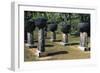 Coral Columns, Guam, Micronesia-null-Framed Giclee Print