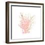 Coral Cove 3-Kimberly Allen-Framed Art Print