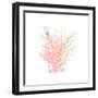 Coral Cove 3-Kimberly Allen-Framed Art Print