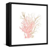 Coral Cove 3-Kimberly Allen-Framed Stretched Canvas