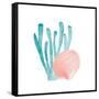 Coral Cove 4-Kimberly Allen-Framed Stretched Canvas