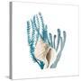 Coral Cove Blue 2-Kimberly Allen-Stretched Canvas