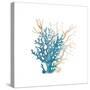 Coral Cove Blue 3 v2-Kimberly Allen-Stretched Canvas