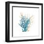 Coral Cove Blue 3 v2-Kimberly Allen-Framed Art Print