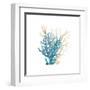 Coral Cove Blue 3 v2-Kimberly Allen-Framed Art Print