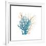 Coral Cove Blue 3 v2-Kimberly Allen-Framed Art Print