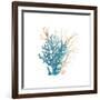 Coral Cove Blue 3 v2-Kimberly Allen-Framed Art Print