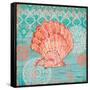 Coral Cove Shells I-Paul Brent-Framed Stretched Canvas