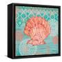 Coral Cove Shells I-Paul Brent-Framed Stretched Canvas