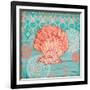 Coral Cove Shells I-Paul Brent-Framed Art Print