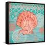Coral Cove Shells I-Paul Brent-Framed Stretched Canvas