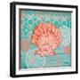 Coral Cove Shells I-Paul Brent-Framed Art Print