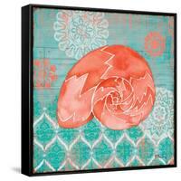 Coral Cove Shells III-Paul Brent-Framed Stretched Canvas