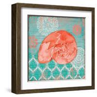 Coral Cove Shells III-Paul Brent-Framed Art Print