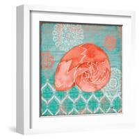 Coral Cove Shells III-Paul Brent-Framed Art Print