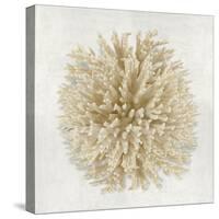 Coral Cream I-Caroline Kelly-Stretched Canvas