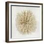 Coral Cream I-Caroline Kelly-Framed Art Print