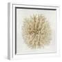 Coral Cream I-Caroline Kelly-Framed Art Print