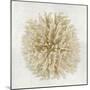 Coral Cream I-Caroline Kelly-Mounted Art Print