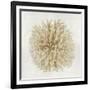 Coral Cream I-Caroline Kelly-Framed Art Print