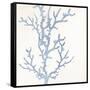 Coral Days 1-Kimberly Allen-Framed Stretched Canvas