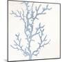 Coral Days 1-Kimberly Allen-Mounted Art Print