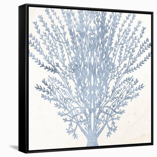 Coral Days 2-Kimberly Allen-Framed Stretched Canvas