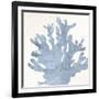 Coral Days 3-Kimberly Allen-Framed Art Print