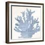 Coral Days 3-Kimberly Allen-Framed Art Print