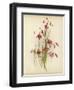 Coral Drops-null-Framed Giclee Print