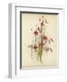 Coral Drops-null-Framed Giclee Print