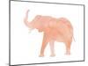 Coral Elephant-Peach & Gold-Mounted Art Print