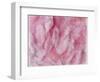 Coral Essence II-Eva Bane-Framed Photographic Print