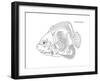 Coral Fish 10-Olga And Alexey Drozdov-Framed Giclee Print