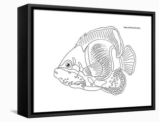 Coral Fish 10-Olga And Alexey Drozdov-Framed Stretched Canvas