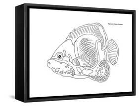 Coral Fish 10-Olga And Alexey Drozdov-Framed Stretched Canvas
