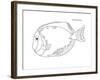 Coral Fish 5-Olga And Alexey Drozdov-Framed Giclee Print