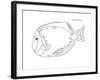 Coral Fish 5-Olga And Alexey Drozdov-Framed Giclee Print