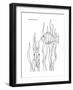 Coral Fish 8-Olga And Alexey Drozdov-Framed Giclee Print