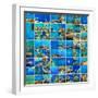 Coral Fish in  Red Sea,Egypt-Andrushko Galyna-Framed Photographic Print