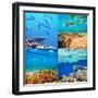 Coral Fish in  Red Sea,Egypt-Andrushko Galyna-Framed Photographic Print