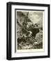Coral Fishing-null-Framed Giclee Print