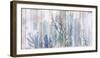 Coral Forest-Ken Hurd-Framed Giclee Print