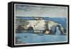 Coral Formation, 1901 (W/C on Paper)-Winslow Homer-Framed Stretched Canvas