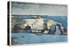 Coral Formation, 1901 (W/C on Paper)-Winslow Homer-Stretched Canvas