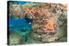 Coral Formation-pipehorse-Stretched Canvas