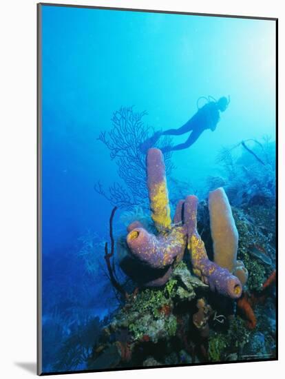 Coral Formations and Underwater Diver, Cozumel Island, Caribbean Sea, Mexico-Gavin Hellier-Mounted Photographic Print