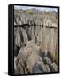 Coral Formations, Tsingy De Bemaraha, UNESCO World Heritage Site, Madagascar, Africa-null-Framed Stretched Canvas